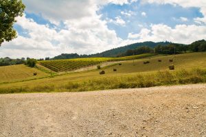 Servizio transfer per agriturismo Val d'Orcia